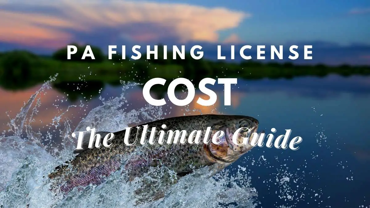 PA Fishing License Cost (The Ultimate Guide) Travel Youman