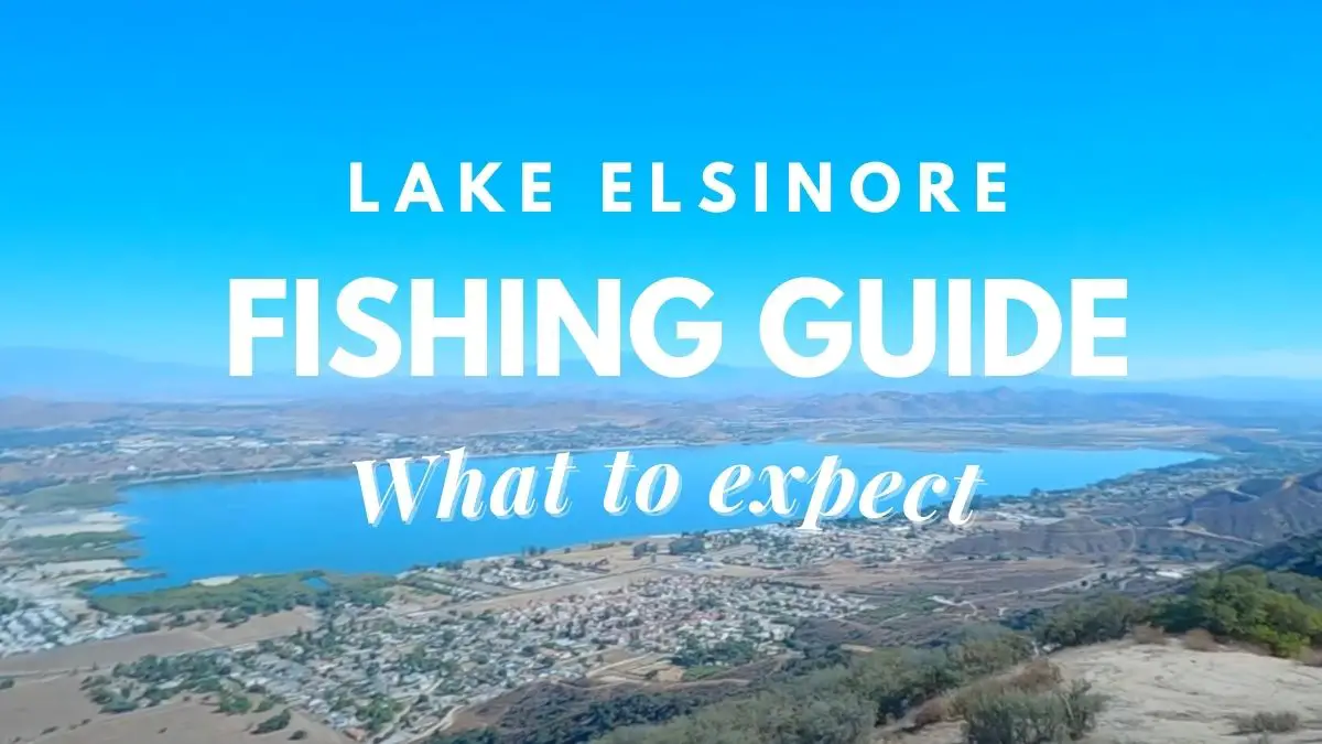 Lake Elsinore Fishing Guide (What To Expect) Travel Youman