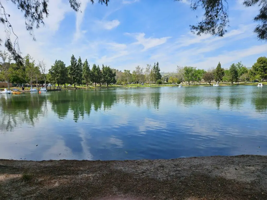 Yorba Linda Regional Park lake with swan-shaped boats
