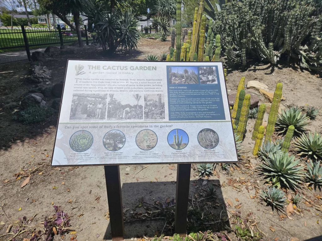 Anaheim's Pearson Park the cactus garden