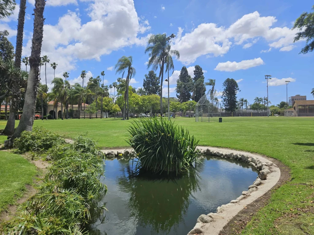 Anaheim's Pearson Park pond with grass in the middle