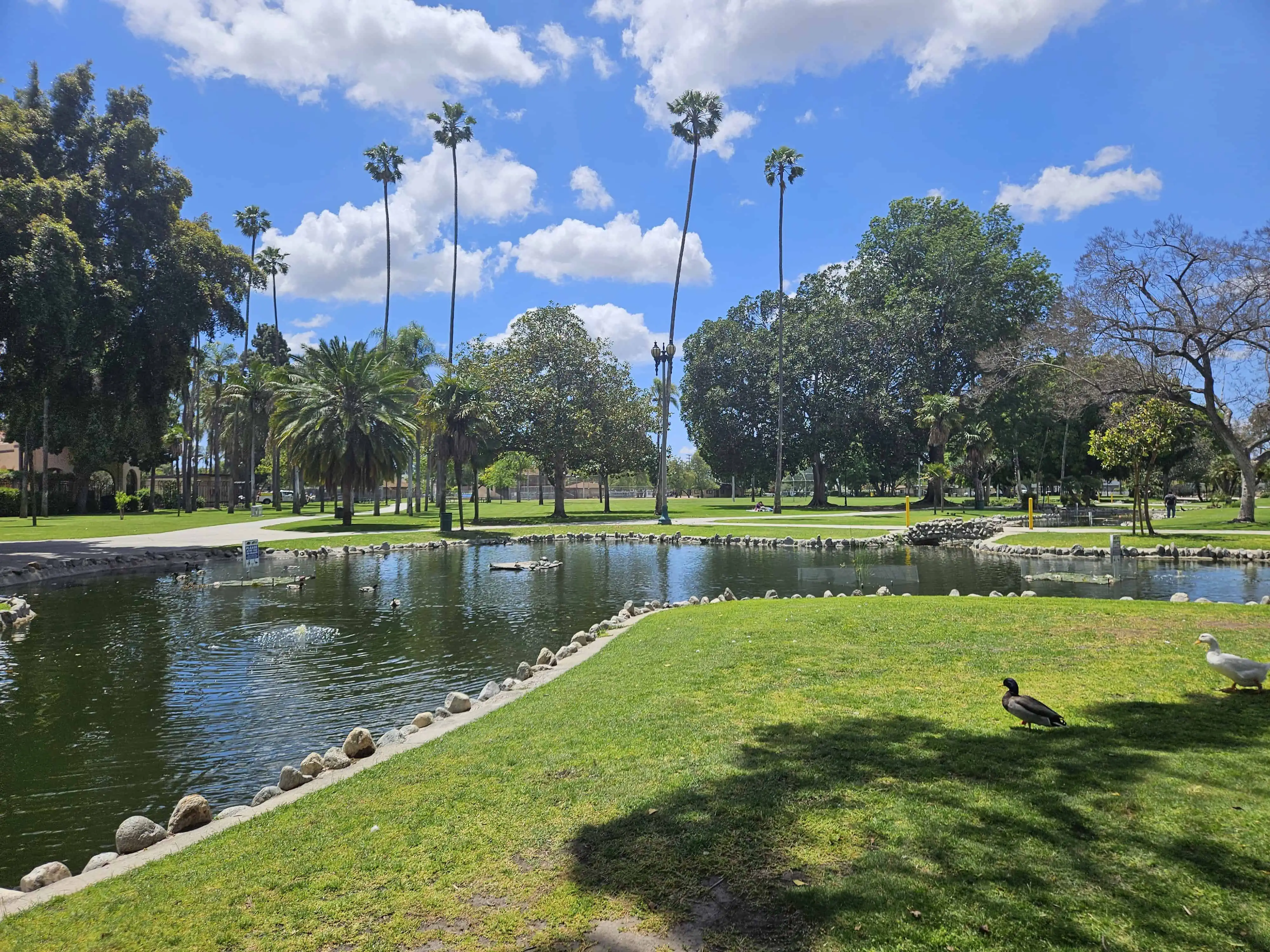 Anaheim's Pearson Park: Family Fun & Scenic Oasis