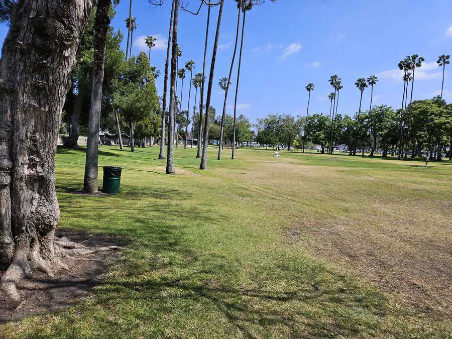 La Palma Park thirsty grass and foliage