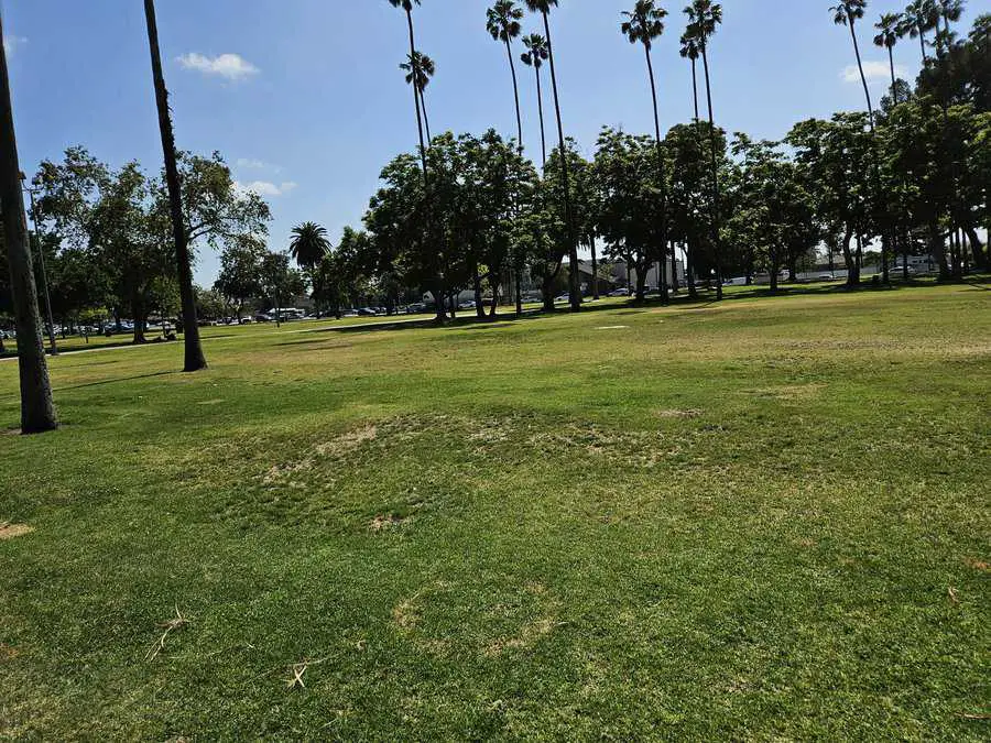 La palma Park grassfield