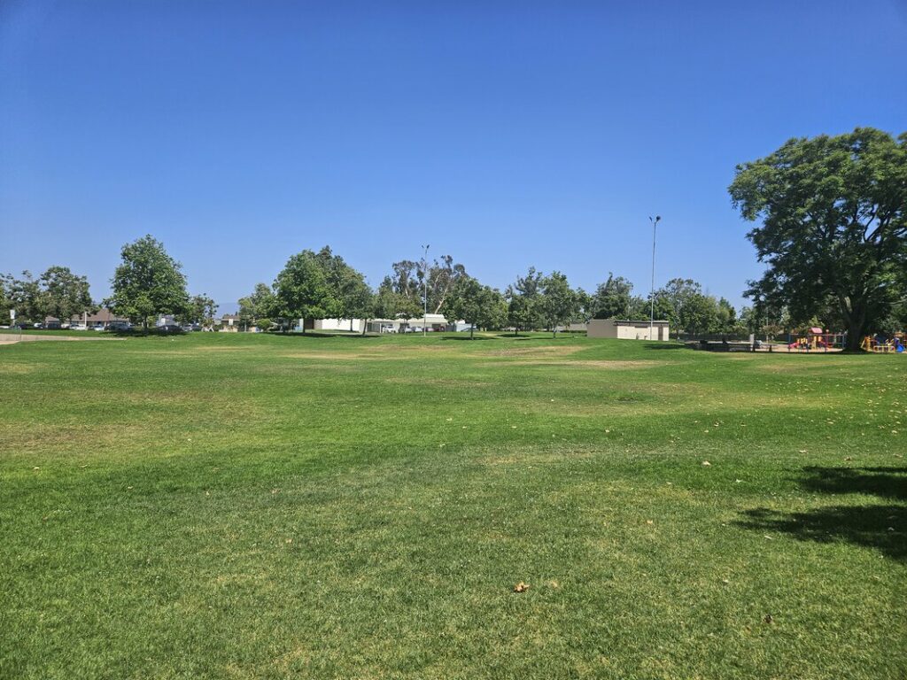 Juarez Park gras field