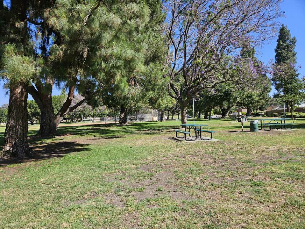 Eucalyptus Park picknick table