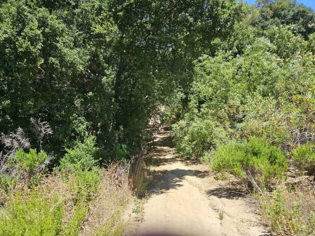 Deer Canyon Park trail
