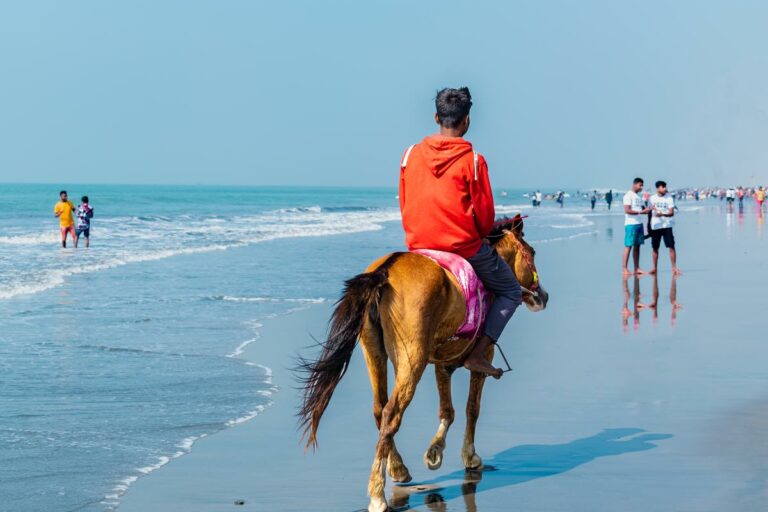 A beautiful landscape with a person horseback riding on the beach in Myrtle Beach