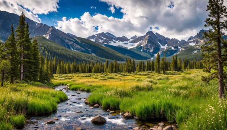 A beautiful view of Rocky Mountain National Park, with snow-capped peaks and lush green forests.