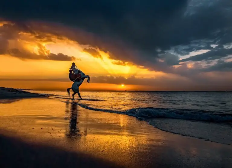 A person riding a horse on the beach in Myrtle Beach, enjoying a beautiful sunset.