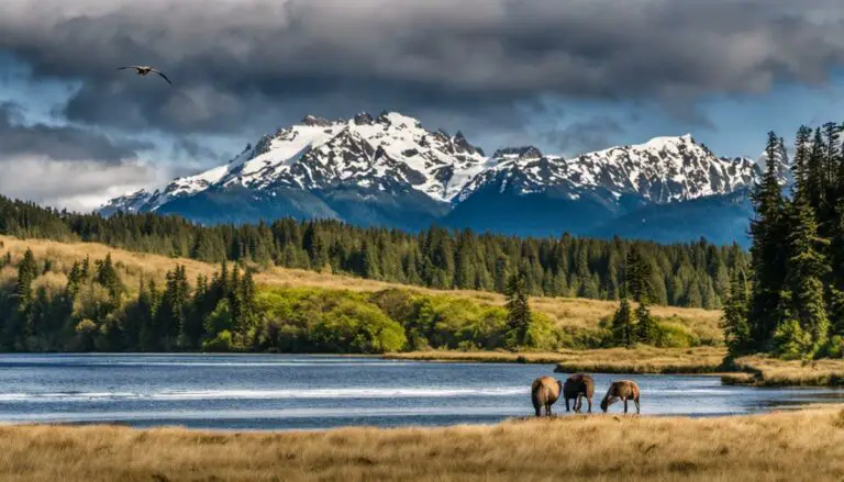 A breathtaking view of the diverse wildlife in Olympic National Park